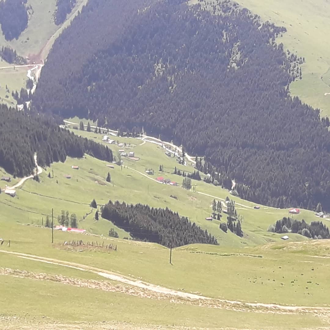 MAÇKA, HOCAMEZARI YAYLASI