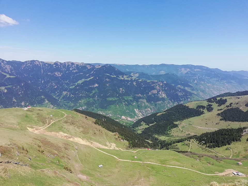 MAÇKA, HOCAMEZARI YAYLASI