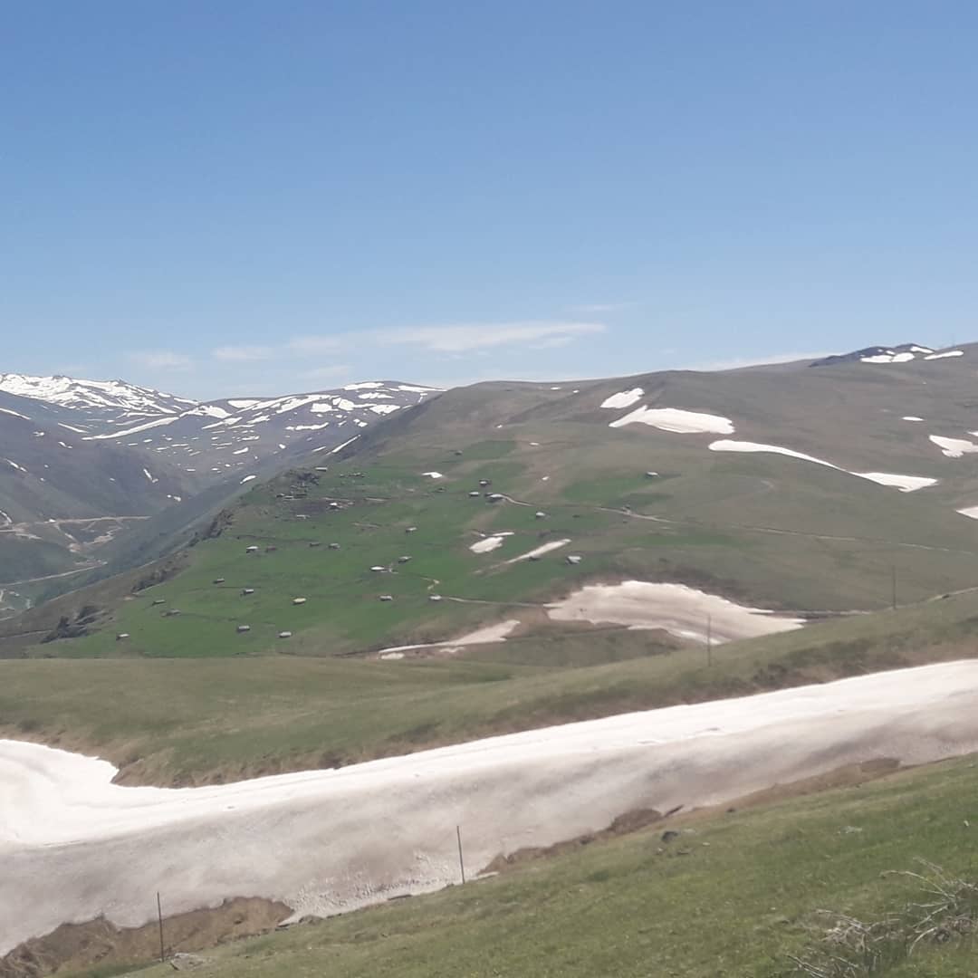 MAÇKA, HOCAMEZARI YAYLASI