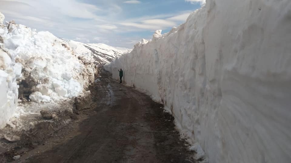 MAÇKA, HOCAMEZARI YAYLASI