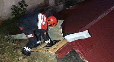 YAVRU KEDİ DÜŞTÜĞÜ YERDEN KURTARILDI