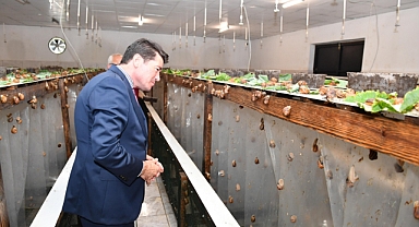 BAŞKAN KAYA: “HER ALANDA ÜRETİMİ TEŞVİK EDİYOR VE DESTEKLİYORUZ”