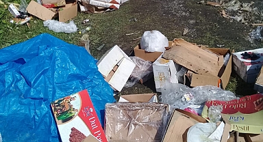 BU NASIL BİR DOĞA DÜŞMANLIĞI!