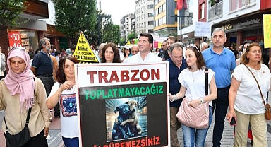 KAYA,