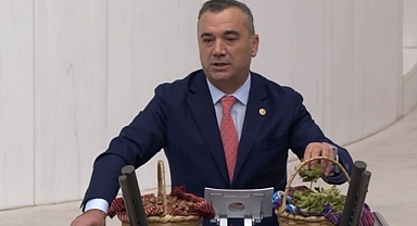 MİLLETVEKİLİ AYDIN: FINDIK ÜRETİCİYLE DALGA GEÇİYORSUNUZ!