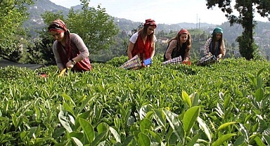 TÜİK AÇIKLADI: ÇİFTÇİNİN ENFLASYONU KATLANARAK BÜYÜDÜ