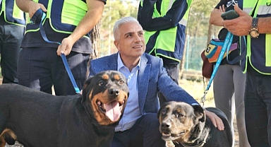 İETT KAPILARINI PATİLİ DOSTLARINA AÇTI