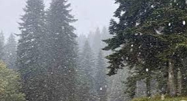 METEOROLOJİ'DEN TRABZON'A KUVVETLİ YAĞIŞ VE KAR UYARISI!