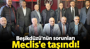 TRABZON BEŞİKDÜZÜ'NÜN SORUNLARI MECLİS'E TAŞINDI