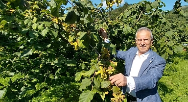 ERGAN:FINDIK ÜRETİMİNİ ARTIRMALIYIZ