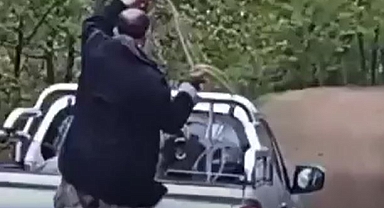 KÖPEĞE EZİYET GÖRÜNTÜLERİNE SORUŞTURMA: ŞÜPHELİ ŞAHIS YAKALANDI