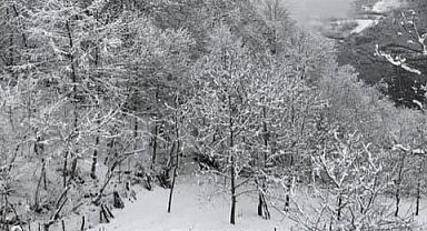 TRABZON'DA HAVALAR ISINACAK