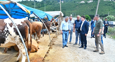 ORTAHİSAR BELEDİYESİ KURBAN HAZIRLIKLARINI TAMAMLADI