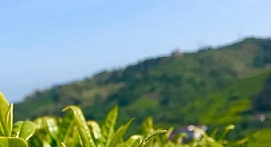TRABZON’DA KURBAN BAYRAMI’NDA HAVA NASIL OLACAK?