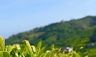 TRABZON’DA KURBAN BAYRAMI’NDA HAVA NASIL OLACAK?