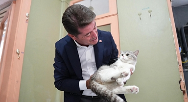 BAŞKAN KAYA’DAN SOKAK HAYVANLARINA DESTEK SÖZÜ