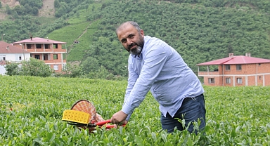 ÇAY SEKTÖRÜ MALİ VE YAPISAL KRİZDEN GEÇİYOR