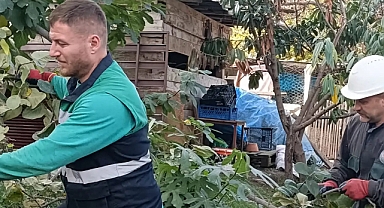 BÜYÜKŞEHİR'DEN SONBAHAR TEMİZLİĞİ