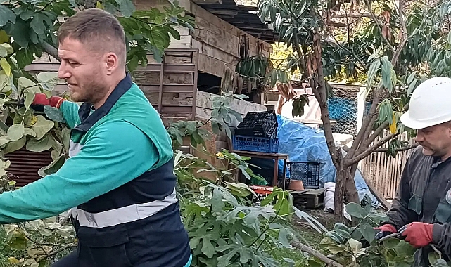 BÜYÜKŞEHİR'DEN SONBAHAR TEMİZLİĞİ