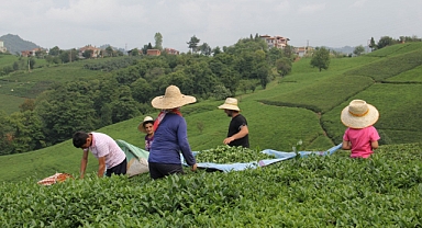 ÇAYSİAD BAŞKANI KAR: “GENÇLER ÇAYDAN UZAKLAŞIYOR, NEDENLERİNİ GÖRMEK ZORUNDAYIZ”
