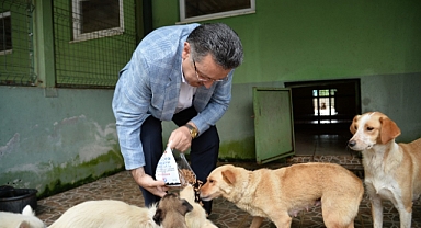 BÜYÜKŞEHİR'DEN TARIM VE YAŞAMA DEĞER KATAN ÇALIŞMALAR