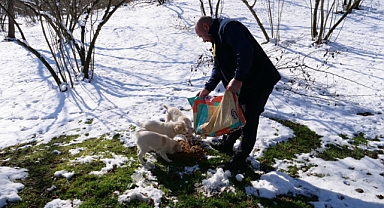ORTAHİSAR BELEDİYESİ, SOĞUK KIŞ GÜNLERİNDE SOKAK HAYVANLARINI UNUTMADI