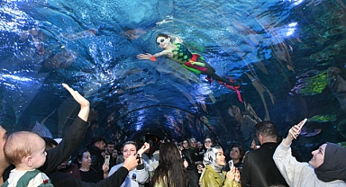TÜNEL AKVARYUM’DA SU BALESİ GÖSTERİSİ, 14 ŞUBAT SEVGİLİLER GÜNÜ’NE HEYECAN KATTI