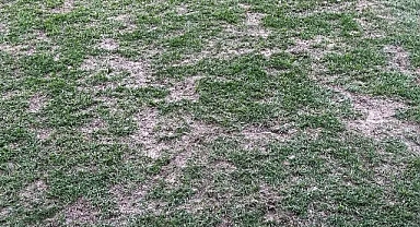 BAKIMSIZ FUTBOL SAHALARI TÜRKİYE’DE SAKATLIK RİSKİNİ ARTIRIYOR