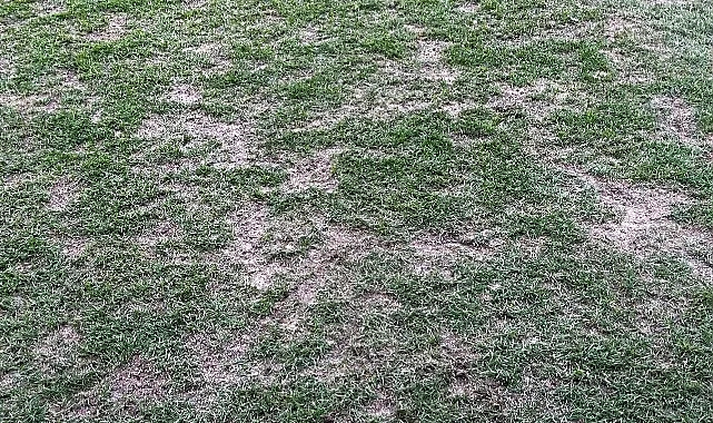 BAKIMSIZ FUTBOL SAHALARI TÜRKİYE’DE SAKATLIK RİSKİNİ ARTIRIYOR