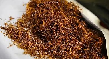 TRABZON DAHİL 79 İLDE KAÇAK TÜTÜN OPERASYONU: 100 MİLYON TL’LİK VERGİ KAYBI ÖNLENDİ