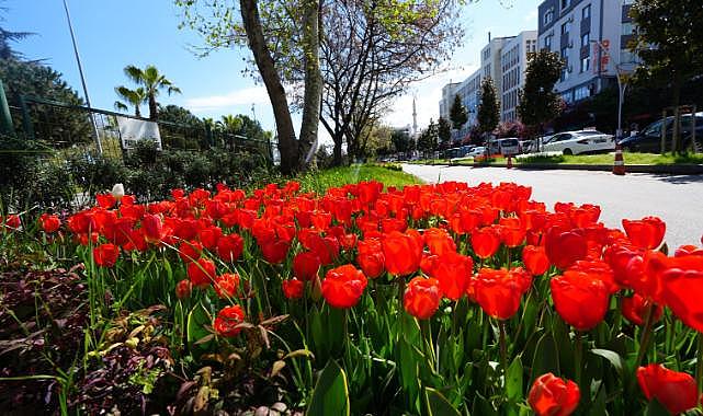 AKÇAABAT BELEDİYESİ ÇİÇEKLERİNİ KENDİ SERALARINDA ÜRETİYOR