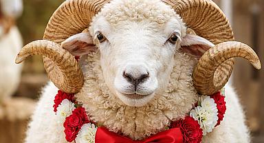 KURBAN BAYRAMI TEBLİĞİ YÜRÜRLÜĞE GİRDİ: 5 KRİTİK DÜZENLEME ÖNE ÇIKTI