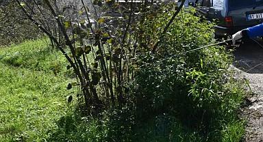 TRABZON’DA ÇİFTÇİLERE İLAÇLAMA İÇİN BELGE ZORUNLULUĞU