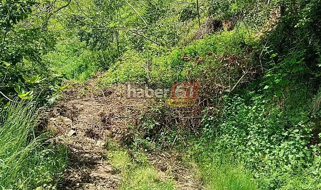 AKÇAABAT'TA TOPRAK KAYMASI NEDENİYLE YOL ULAŞIMA KAPANDI