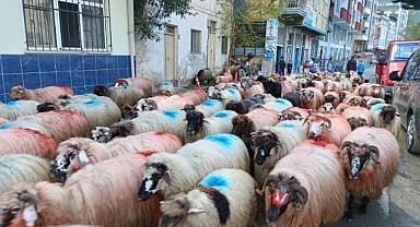 KURBAN BAYRAMI ÖNCESİ KURBANLIK FİYATLARI BELLİ OLMAYA BAŞLADI