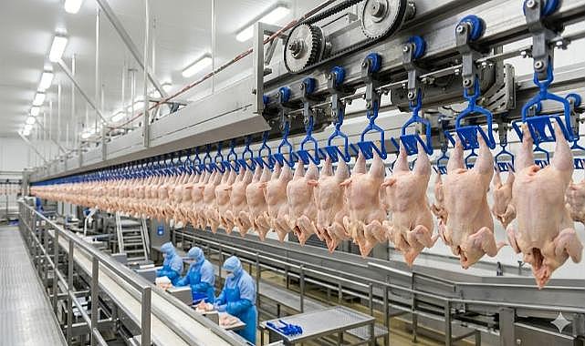BEYAZ ET SEKTÖRÜNE OPERASYON! 29 KİŞİ SERBEST BIRAKILDI