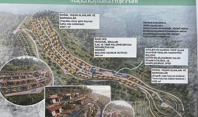 SOKAK HAYVANLARI YAŞAM MERKEZİ ÇOK HIZLI TAMAMLANACAK